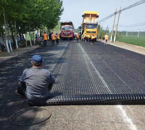 南昌鋼塑土工格柵橋梁涵洞鋼塑復合土工格柵價格便宜